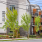 Experience Lynnwood